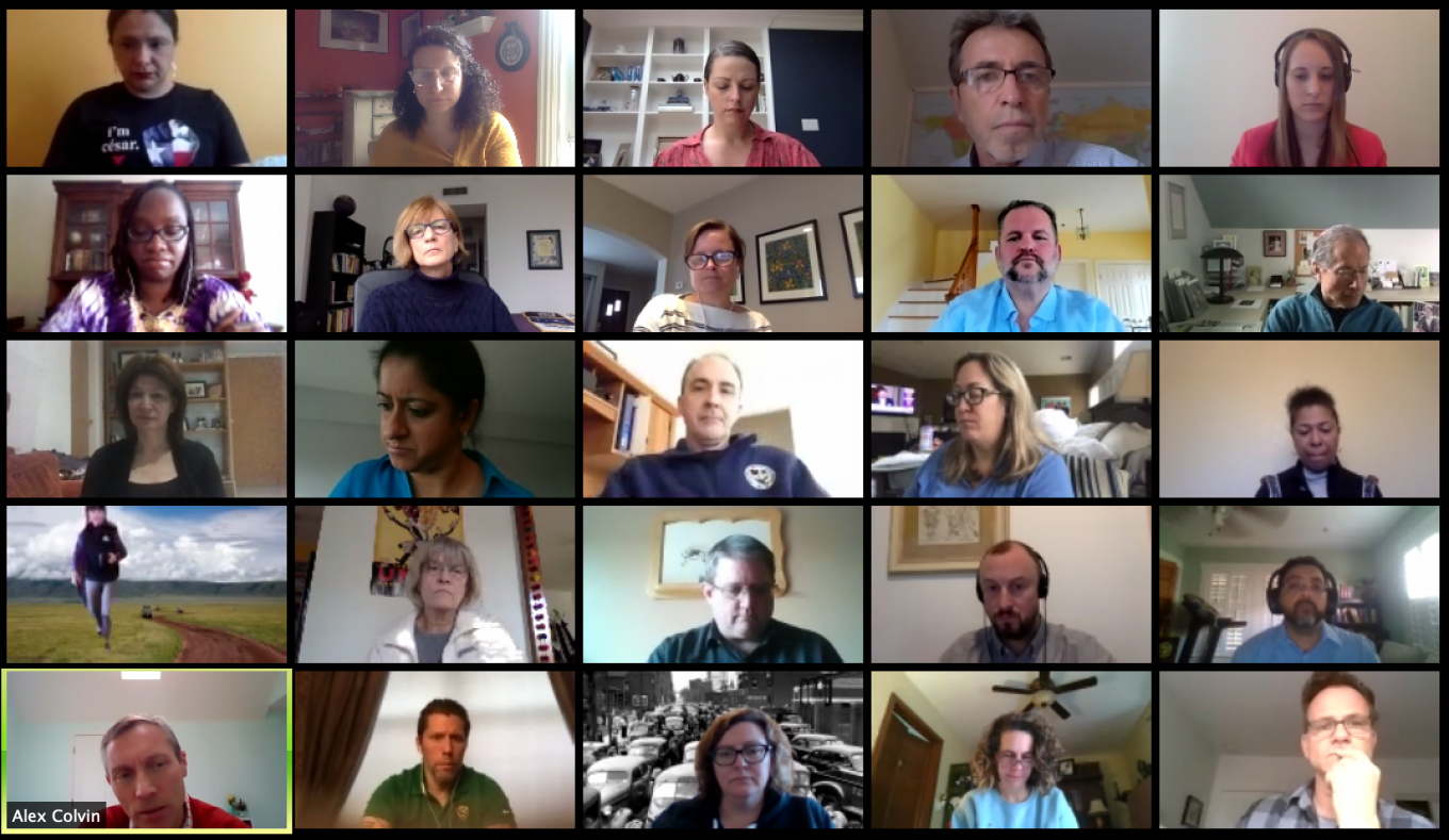 Screenshot of NLLI Online Convening