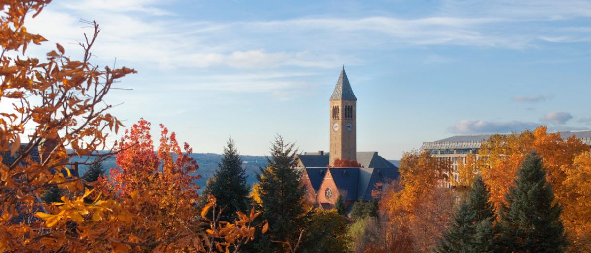 photo of campus in autumn