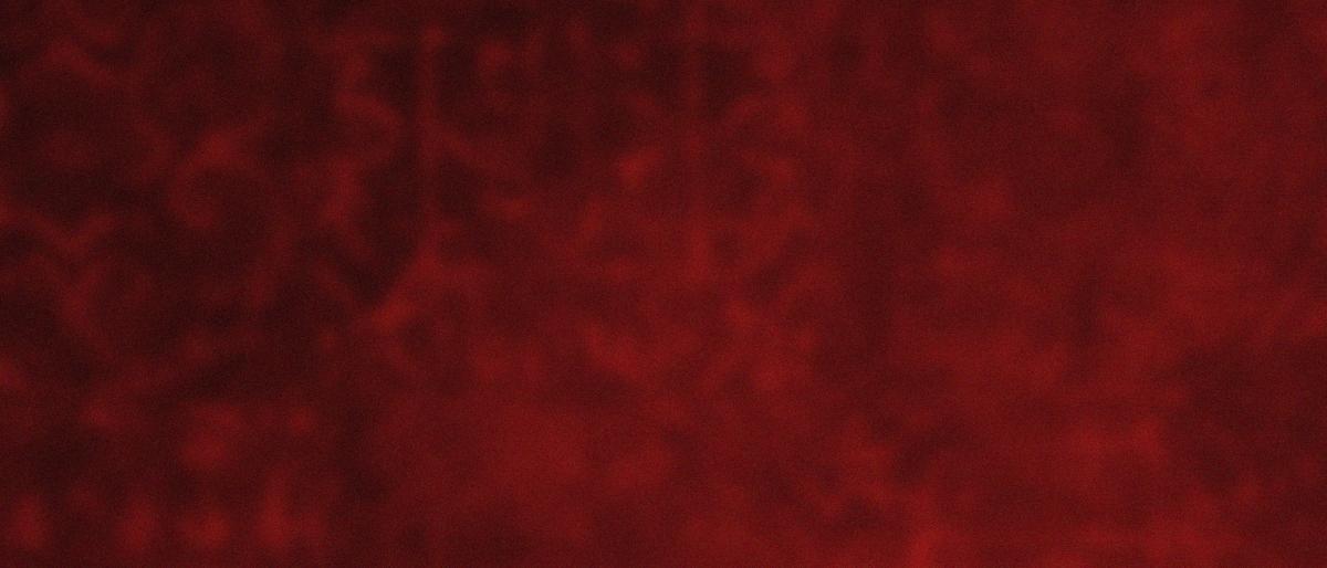 texture modified from photo by KHALIL MUSA on Unsplash