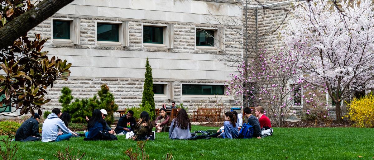Students sitting on the grass in the lower courtyard.