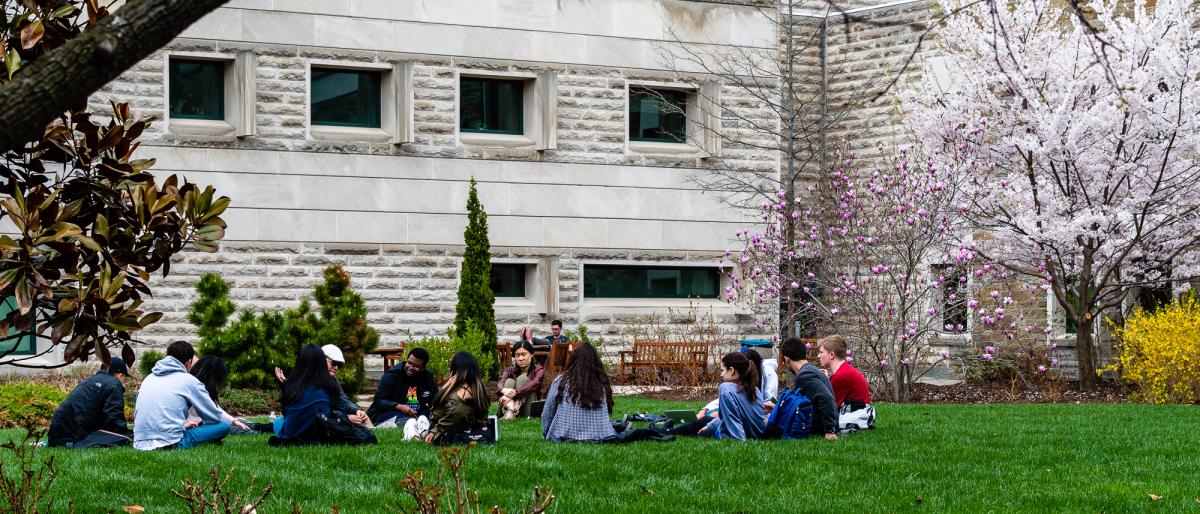 Students sitting on the grass in the lower courtyard.