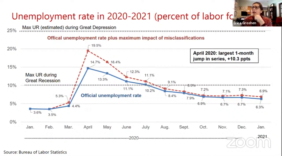 screenshot of the webinar