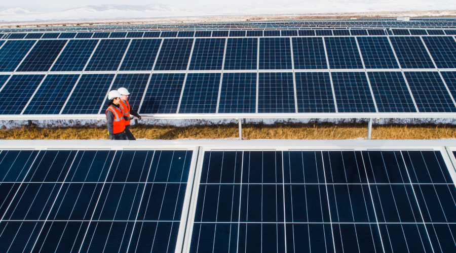 Solar Panel Workers