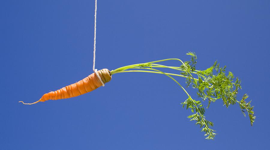 A carrot hanging from a string
