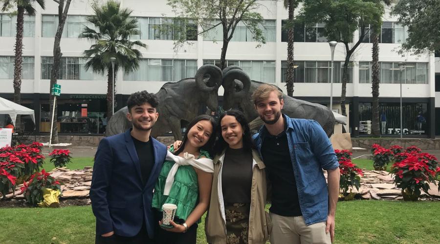 4 students stand in front palm trees