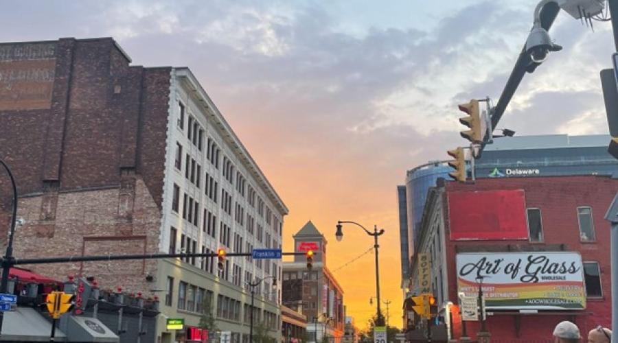Photo of Buffalo taken by Lila