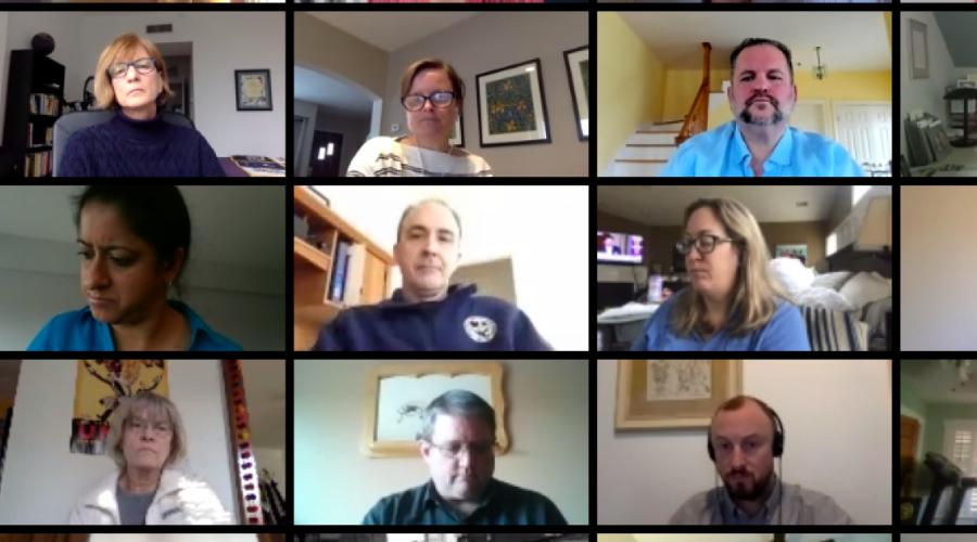 Screenshot of NLLI Online Convening