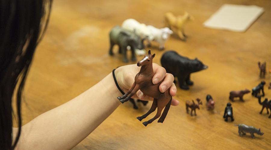 Photo: A person holding a toy horse