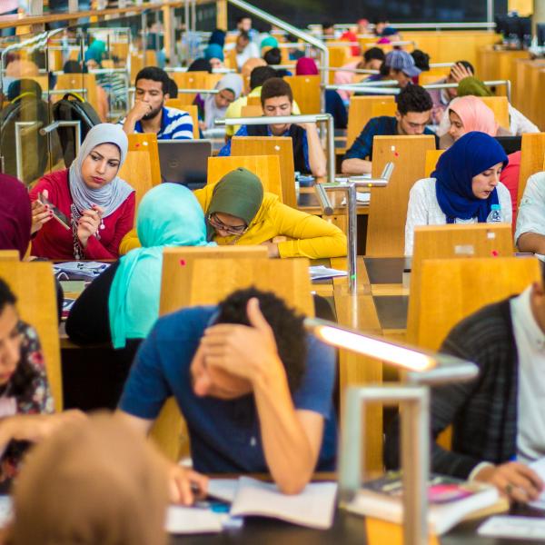 Egyptian students studying in a university library