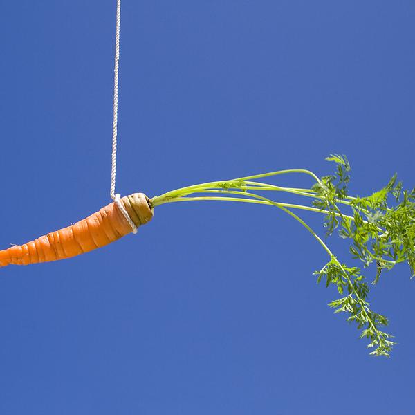 A carrot hanging from a string