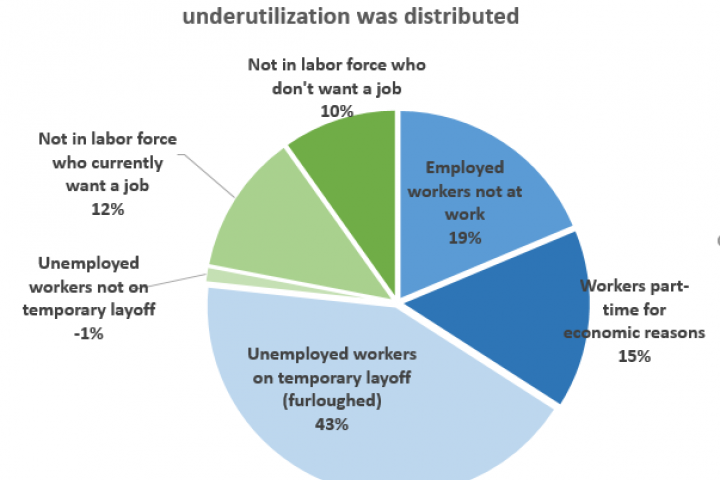 Pie chart illustrating the percentages of labor underutilization