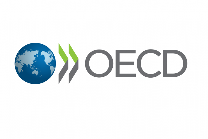 Logo of the OECD. A globe followed by the letters O E C D.