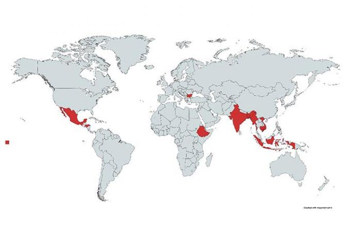 World map