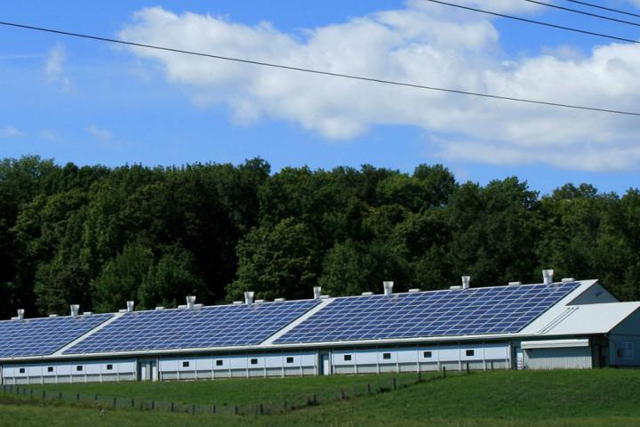 solar panels upstate