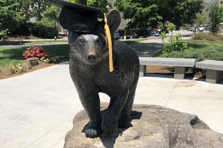 Touchdown wearing a graduation cap