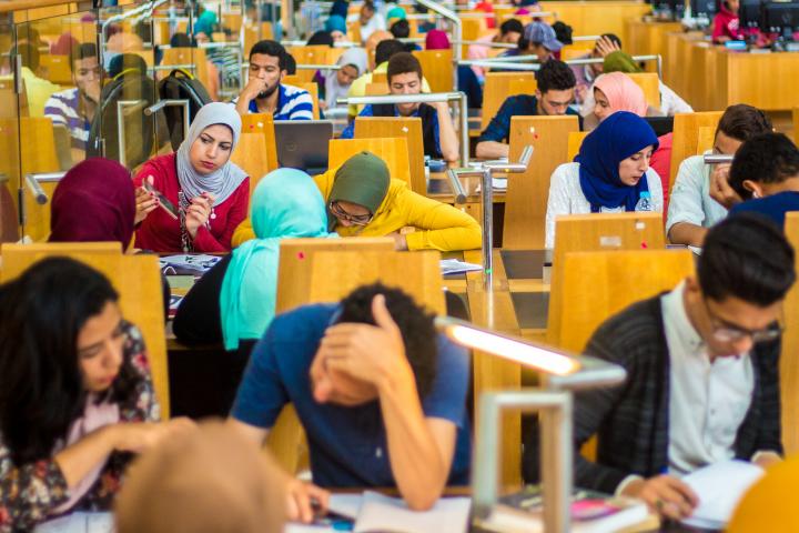 Egyptian students studying in a university library