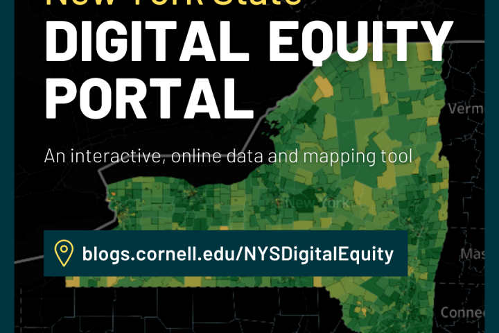 Digital Equity Portal