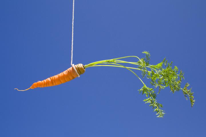 A carrot hanging from a string