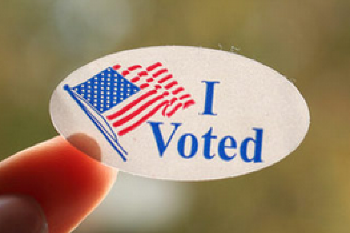 I voted sticker