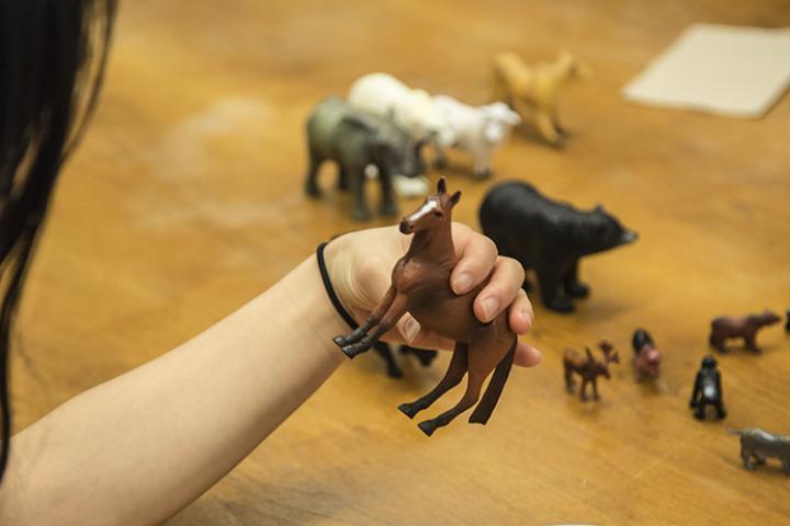 Photo: A person holding a toy horse