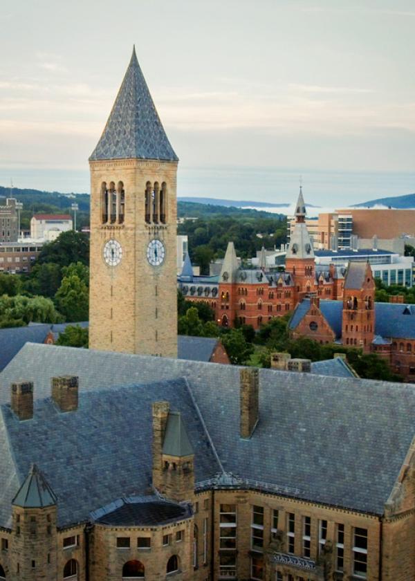 Cornell University Picture
